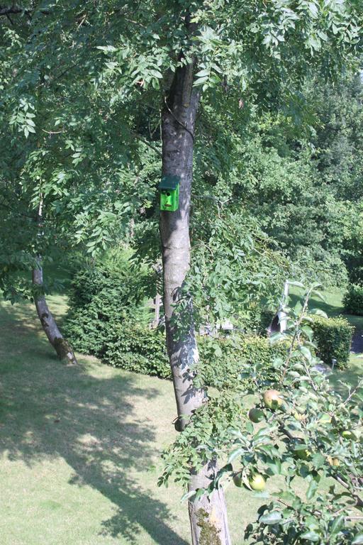 B&B Villa Roma Дюрбюї Екстер'єр фото